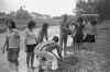 Tree planting on Dover Road 1974