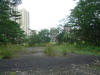 Parade Ground looking east