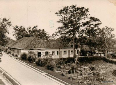 Our bungalow, No 1 Bungalow
Our bungalow, No 1 Bungalow. This photo was taken from the old Central Receiving Hall. You can see the pineapple patch and the Papaya trees. Behind is no. 2 Bungalow and further down the road behind the photographer was a house lived in by the dentist, Mr Popperwell and then the football field and police barracks.
Keywords: Lucy Childs;Bungalow;Central Receiving Hall;Mr Popperwell