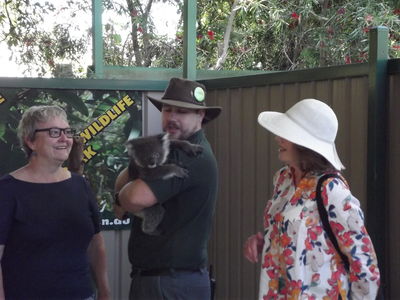 Caversham Wildlife Park - meet the Koalas
Keywords: Singapore Schools Reunion;Perth;Australia;2018