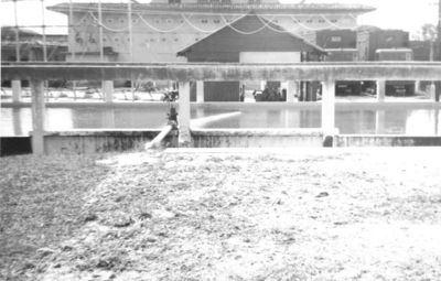 Swimming Pool at RAF Jurong
A water tank at Jurong adapted for use as a swimming pool.
Keywords: Jurong;RAF;swimming pool