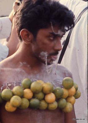 Thaipussam
That pin goes through his cheeks and right through his tongue, so much for seventies punk era, this lot were doing it first!
Keywords: Thaipussam;Hindu