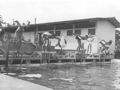 Dockyard Swimming Pool
Danny in Lane 4 at Dockyard Swimming Pool (1964)
Keywords: Dockyard Swimming Pool;1964;RN;Naval Base
