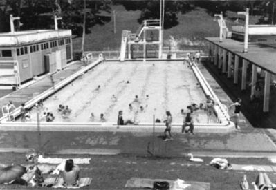 Gillman Pool 1965
Keywords: Gillman Pool;1965