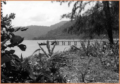 Field Trip to Pulau Tioman â€“ July 1967
The landing jetty â€“ Pulau Tioman 1967
Keywords: Pulua Tioman;Landing Jetty