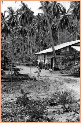 Field Trip to Pulau Tioman â€“ July 1967
Pulau Tioman â€“ The Village Shop
Keywords: Pulau Tioman;Village Shop