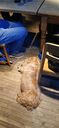Filename=20251011_174115.jpg
Filesize=825KiB
Dimensions=1077x2332
Date added=Oct 13, 2025 20251011_174115.jpg