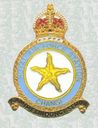 RAF_Changi_badge.jpg