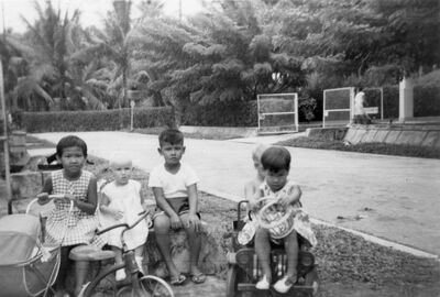 Worthing Road, Serangoon Gardens
Does anyone recognize the British child? Early 1960s.
