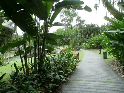 Botanic Gardens - 2012
