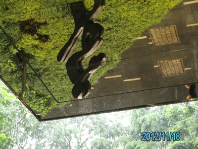 Mirrored Ceiling - 2 - Orchard Road - 2012
