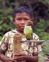 Malay-child-selling-parrot.jpg