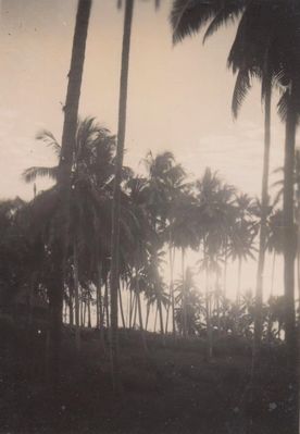 Westering sun at Changi 1949
