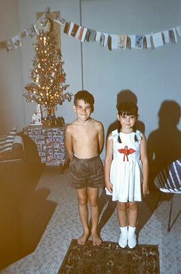 Dave Moffett and Gill Moffett in front of our silver Christmas tree  in Pacific Mansions
Keywords: Christmas; Gillian Moffett; David Moffett; 1966; Pacific Mansions