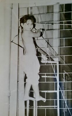 My sister Gill Moffett climbing safety bars on our 8th floor balcony at Pacific Mansions, April 1966
Keywords: Gillian Moffett;Pacific Mansions;1966