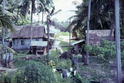 Kampong
