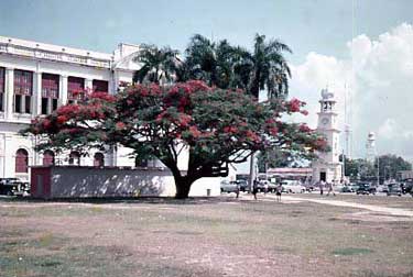 Land-Office.jpg