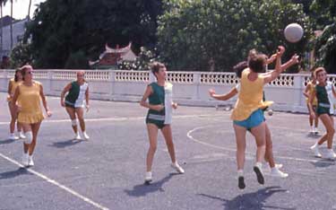 Netball
