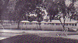PP_1954
