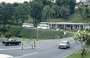 School-buses
