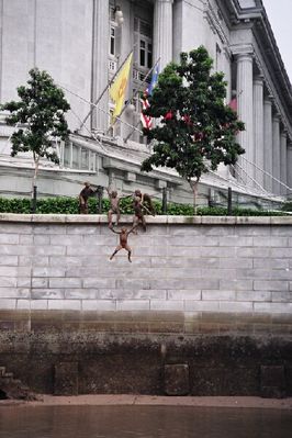 Fullerton Hotel in the background.
Keywords: Fullerton Hotel