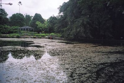 Botanic Gardens including the Orchid garden and around Symphony Lake
Keywords: Botanic Gardens