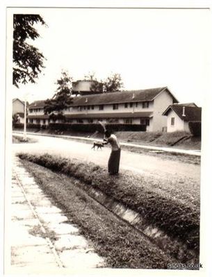 Grass Cutter, Sussex Est. 1968
Keywords: Laurie Bane;Grass Cutter;Sussex Est;1968