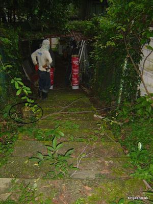 Same Hydrant marked on left hand side of steps
Keywords: Bourne School;Gillman Section