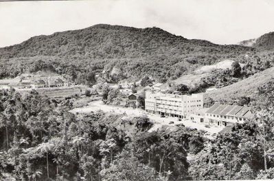 Cameron Highlands
Keywords: Cameron Highlands;Malcolm Allsopp