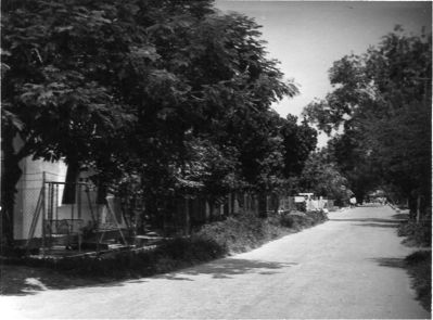 View of Carmen Street
View of Carmen Street, looking down to Lakme Terrace towards kampong.
Keywords: Peter Todd;Carmen Street;Lakme Terrace