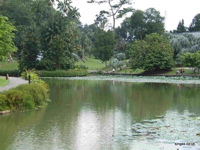 Botanic Gardens
The same lake once again photographed from the opposite side looking back up from the previous photo.
Keywords: Botanic Gardens