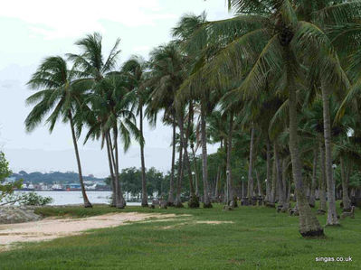 The coastal area of Pasir Ris
The coastal area of Pasir Ris, this didnâ€™t appeared to have changed much
Keywords: Pasir Ris;2006