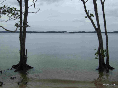  Pasir Ris looking across the bay towards Pulau Ubin
Photo taken at Pasir Ris looking across the bay towards Pulau Ubin
Keywords: Pasir Ris;Pulau Ubin;2006