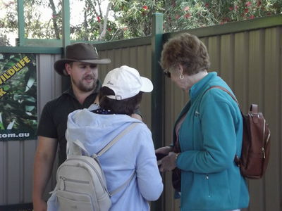 Caversham Wildlife Park - meet the Koalas
Keywords: Singapore Schools Reunion;Perth;Australia;2018