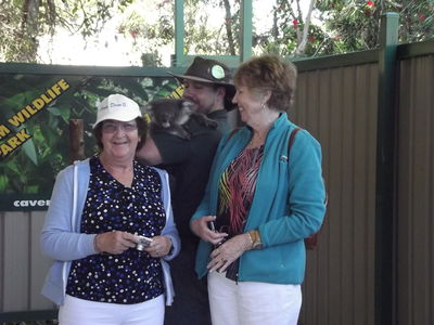 Caversham Wildlife Park - meet the Koalas
Keywords: Singapore Schools Reunion;Perth;Australia;2018