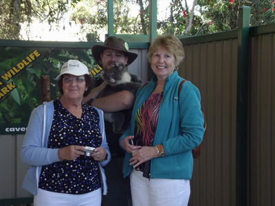 Caversham Wildlife Park - meet the Koalas
Keywords: Singapore Schools Reunion;Perth;Australia;2018