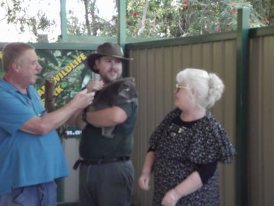 Caversham Wildlife Park - meet the Koalas
Keywords: Singapore Schools Reunion;Perth;Australia;2018