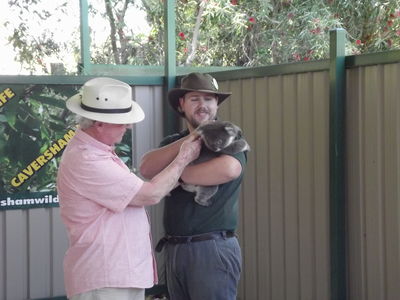 Caversham Wildlife Park - meet the Koalas
Keywords: Singapore Schools Reunion;Perth;Australia;2018