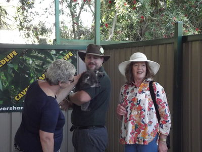 Caversham Wildlife Park - meet the Koalas
Keywords: Singapore Schools Reunion;Perth;Australia;2018