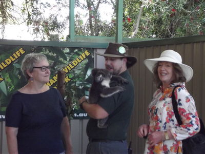 Caversham Wildlife Park - meet the Koalas
Keywords: Singapore Schools Reunion;Perth;Australia;2018