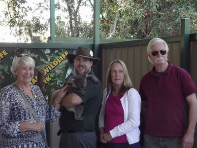 Caversham Wildlife Park - meet the Koalas
Keywords: Singapore Schools Reunion;Perth;Australia;2018