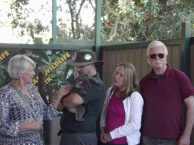 Caversham Wildlife Park - meet the Koalas
Keywords: Singapore Schools Reunion;Perth;Australia;2018