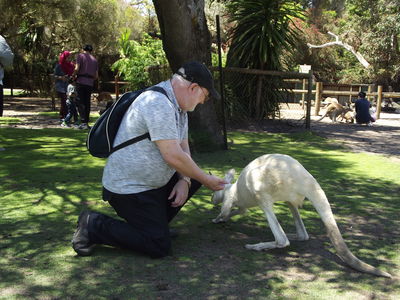 Caversham Wildlife Park
Keywords: Singapore Schools Reunion;Perth;Australia;2018