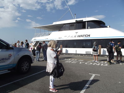 Whale Watch - Freemantle
Keywords: Singapore Schools Reunion;Perth;Australia;2018