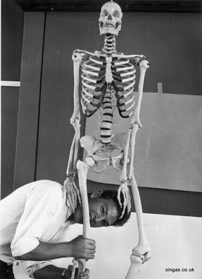 Dennis Crowe gets his teeth into Anatomy at St John's
Keywords: Dennis Crowe;St John&#039;