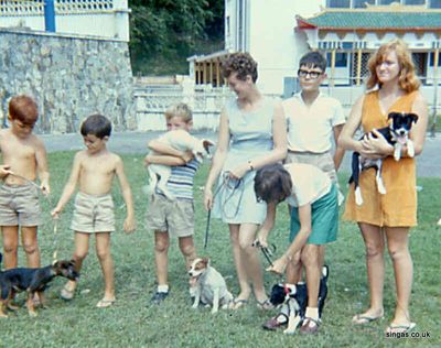 Taken in the grounds of Far East Mansions
Taken in the grounds of Far East Mansions.  Thatâ€™s me in the glasses and my sister is in the green skirt.  These are some puppies we temporarily looked after from the SPCA.  Note the Buddhist temple in the background.

The boy with the striped T-Shirt is Peter Manning. Far left is Paul Kieft and next to him with the dark hair is his brother Mark Kieft.
Keywords: Far East Mansions;Mark Kieft;Peter Manning;Paul Kieft;Buddhist;temple