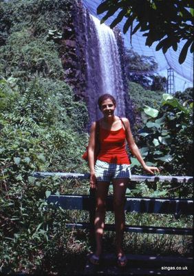 FranÃ§oise by Waterfall at Jurong Bird Park
Keywords: Jurong Bird Park;Waterfall