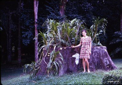 FranÃ§oise with Tree Stump
