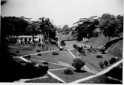 Gillman Swimming Pool
Keywords: Alan Ives;Gillman Swimming Pool