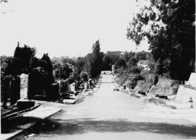 Hua Guan Avenue.  Picture taken from outside the bungalow looking down the Avenue.  1967/68
Keywords: Hua Guan Avenue:1967;Tom OBrien